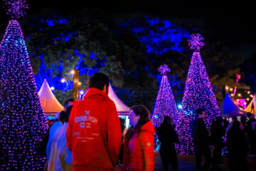 Christmas lights at NOEL Sydney