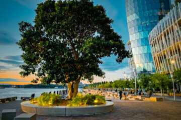 Walking at Barangaroo at Sunset