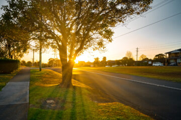 Peaceful Sydney Suburb